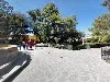 Mariachi en san Luis Potosí y sus alrededores